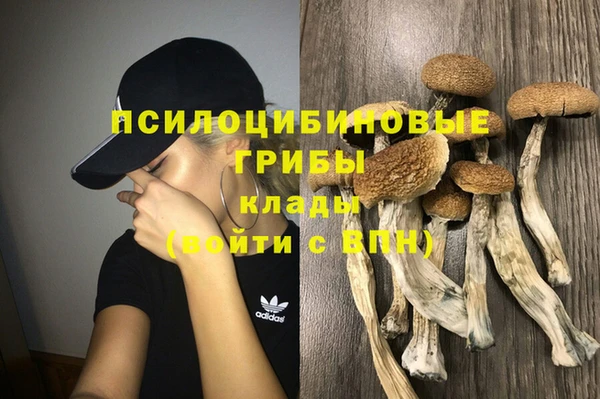 мдпв Балахна
