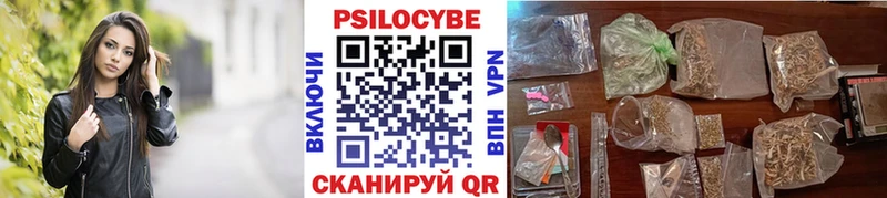 Псилоцибиновые грибы Psilocybine cubensis  наркошоп  mega tor  Бежецк 